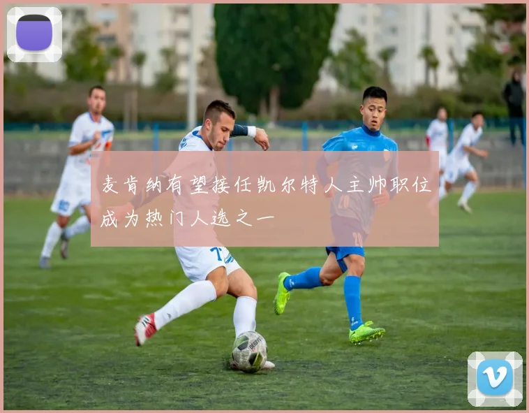 麦肯纳有望接任凯尔特人主帅职位成为热门人选之一