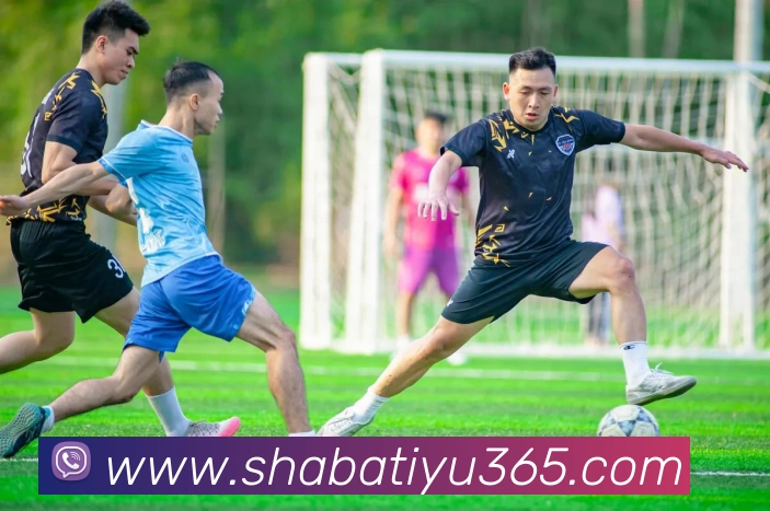 多媒体互动体验